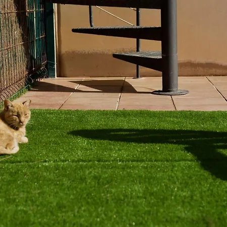 The Blue Torrent, Perfect For Relaxing Getaway