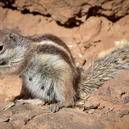 The Blue Torrent, Perfect For Relaxing Getaway شقة لا أوليفا