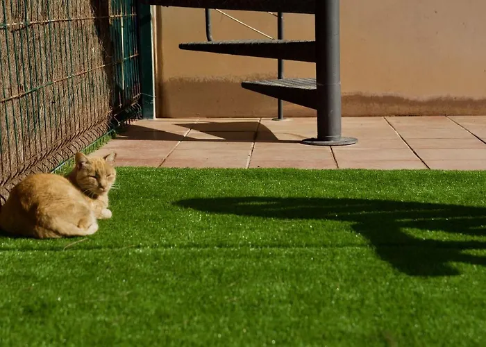 The Blue Torrent, Perfect For Relaxing Getaway