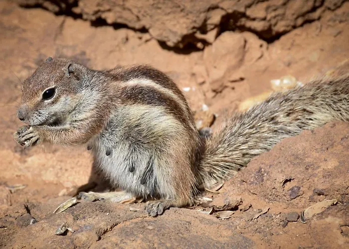The Blue Torrent, Perfect For Relaxing Getaway شقة لا أوليفا